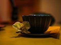 사랑하는 괴물에게