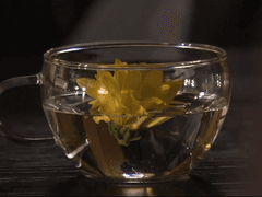 [미무타로] 장맛비