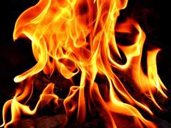 [하세하루/마키하루] 호흡과 순환 B