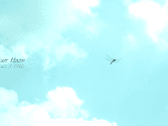 [녤옹] Summer Haze _ 1/5