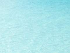 알렉매그) 더위, 여름, 매그너스 베인.