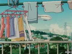 능소화 피는 여름