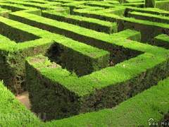 미로에서의 약속