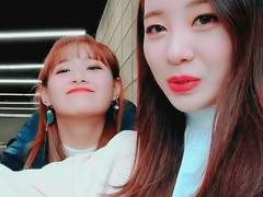 [입츄] 또라이가 좋은 이유 yyxyy