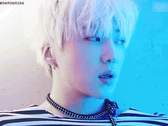 델피니딘 앨리스