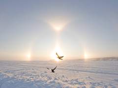 [스팁버키] 그러나 너는 사랑에 빠진 것이 아니고