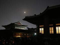 [빵큐밀]夜來香야래향; 五