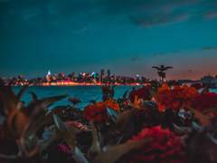 상사여귀 相思厲鬼 -完