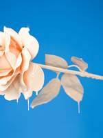 [행크코너] 단편들