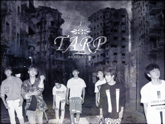 #1. TARP(타프)