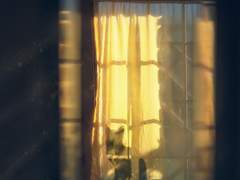 [말렉/알렉매그] 알렉과 고양이와 매그너스