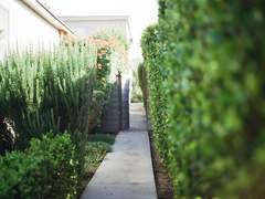 Falling Slowly :: Even If