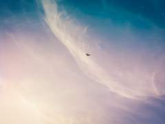 [백른전_빛을 찾아서] LOVE MEDICINE 선입금 안내 (8/26~9/4)