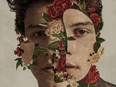 Shawn Mendes - Particular Taste