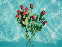 순간과 영원 사이 (전연령가본)