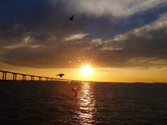 연안부두ㅡ팔미도