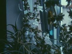 曚傷愛(몽상애)-1