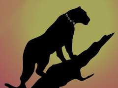 [몽찰]선셋(sunset)-5