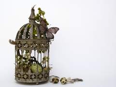 [CoC 시나리오] 달걀 씨 탈취 사건과 탈환에 관한 보고서