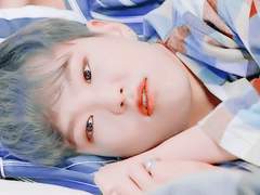 春は死んでいる