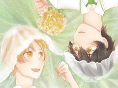 [ Wedding Veil ] 샘플페이지