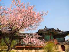 [찬백] 의중지인 00