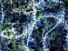 Aimer with chelly (EGOIST) - Ninelie