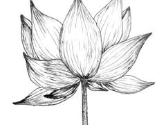 사회학적 인간 4~6화 업로드 공지