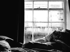 오로지 진실만을 13