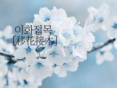 [아토료] 이화접목(移花接木) 0