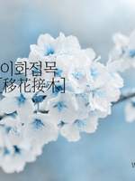 이화접목 [移花接木]