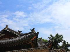 [사쿠아이] 상사화 - 다섯 장