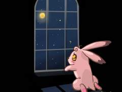 토끼 쥬니 좋아함