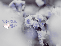 잊는 것도 사랑일까