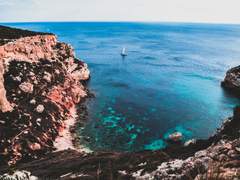 오로지 진실만을 15