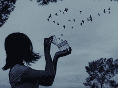 Sia - Bird Set Free (가사/번역/해석)