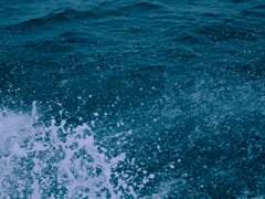 아름답고 쓸모없기를