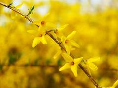 다른 얘기를 하자 1