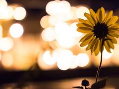 [년옹] Love, Seongwu