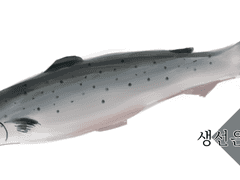 예전에 그린거 2