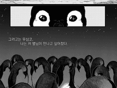 작은 펭귄 자리 은하수