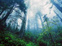 [말렉합작] 용(龍)의 신부