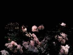 [치트퍼블] 무덤의 꽃말 完