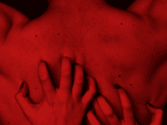 붉은 청춘의 미학