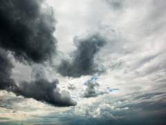 [뷔진] 그것만이 내 세상 (1)