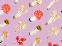 [오이스가] 무엇을 도와드릴까요? -7-