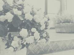 [미사와]화우(花雨)09