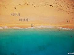 [히프마이/히후도] 여름과 바다의 꿈