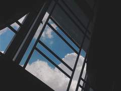 그 애는 이상하지 않았다