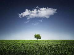 [팬텀제논] 냉정과 이성 사이